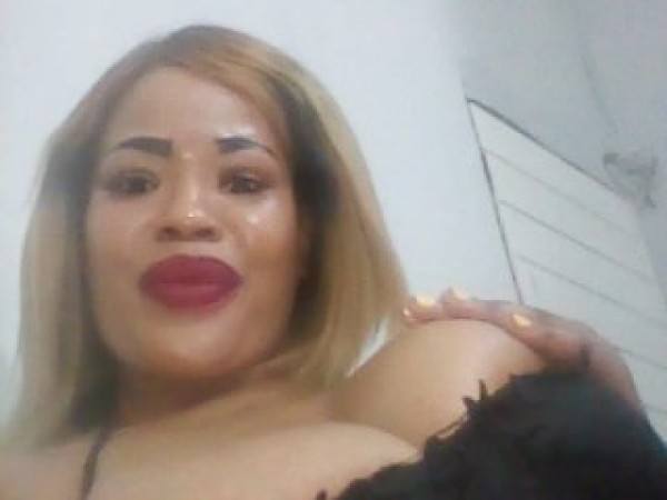 CurvetASS120XX
