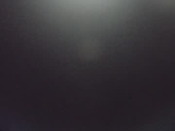 asian_llory