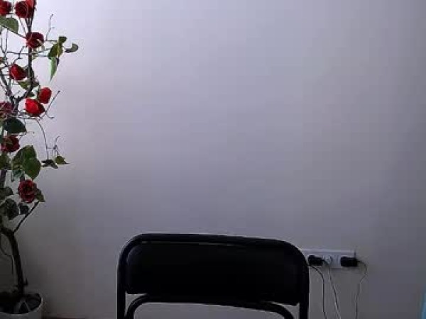 bunnybloom_